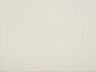 SAJ WALL TILE 25x33 5002 WHITE (20)