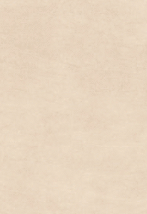 PORCELAIN SLAB 2400×800×15mm MORELLA BEIGE MATT